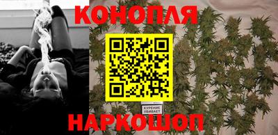 МДПВ Гатчина