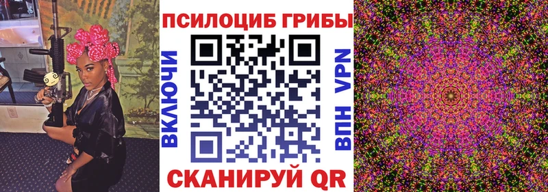 Галлюциногенные грибы мицелий  купить  цена  Звенигород 