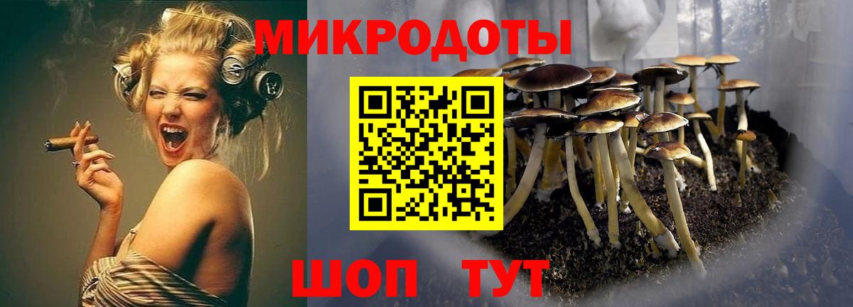 Звенигород  Псилоцибиновые грибы мухоморы  Вход с VPN 