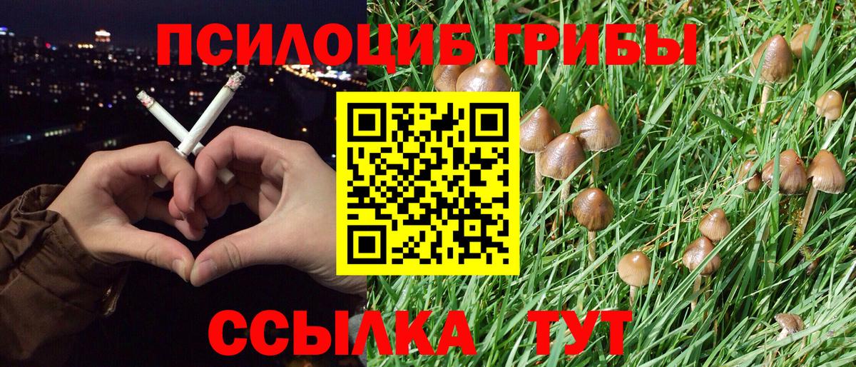 Галлюциногенные грибы Magic Shrooms Звенигород